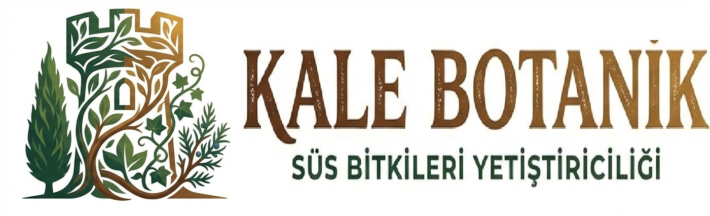 Kale Botanik Süs Bitkileri Yetiştiriciliği